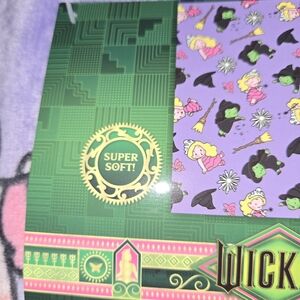 Wicked Witch Party Supplies Set - Green and Purple